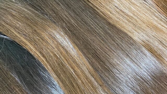 Cabelo Brasileiro do Sul Natural