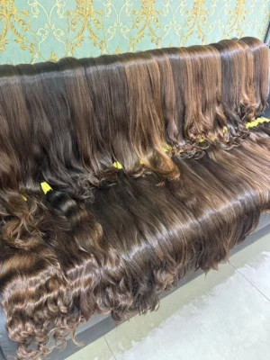Cabelo Brasileiro Regional Castanho